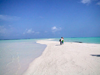 isole Maldive luglio 2003 Kuramathi Village resort isola di Kuramathi atollo di Rasdhoo by Nino&Luigi&Rossella&Connie