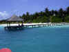 Le foto e il racconto del viaggio di Mara&Renato alle isole Maldive  al Vilu reef resort nell' agosto 2003 isola di meedhufushi atollo di nilandhoo sud 