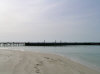 Le fotografie, il racconto, le notizie e i consigli utili del viaggio all'alimatha resort isola di alimatha atollo di felidhoo nel febbraio 2008 by Alexx, Andrea, Alice e Arianna (utente forum maldive alexx)