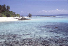 isole maldive fotografie informazioni notizie utili isole maldive asdu sun island resort isola di asdhoo atollo di male nord by Elena e Gianni nel marzo 2006