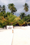 isole maldive novembre-dicembre 2003: crociera safari Maavahi boat con Albatros Top Boat By Claudia&Dario di www.tuttomaldive.it : escursione all' alimatha resort