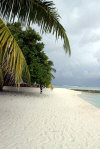 isole maldive novembre-dicembre 2003: crociera safari Maavahi boat con Albatros Top Boat By Claudia&Dario di www.tuttomaldive.it : escursione all' alimatha resort