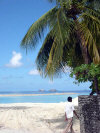 isole maldive novembre-dicembre 2003: crociera safari Maavahi boat con Albatros Top Boat By Claudia&Dario di www.tuttomaldive.it : isola di Rakeedhoo