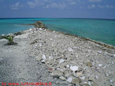 isole maldive fotografie delle lamentele, disguidi, disservizi e i reclami dei disagi subiti da Cristina e Juan nei confronti del tour operator swantour per i disagi e i disservizi subiti  durante il viaggio  al giravaru resort isola di giraavaru atollo di male nord nel dicembre 2007 a natale 2007