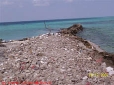 isole maldive fotografie delle lamentele, disguidi, disservizi e i reclami dei disagi subiti da Cristina e Juan nei confronti del tour operator swantour per i disagi e i disservizi subiti  durante il viaggio  al giravaru resort isola di giraavaru atollo di male nord nel dicembre 2007 a natale 2007