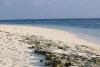 Le foto, il racconto, le informazioni e i consigli utili del viaggio al madoogali island resort isola di madoogali atollo di ari nord nel dicembre 2006 by Davide