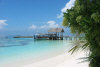 Le fotografie, il racconto, le notizie e i consigli utili del viaggio al madoogali island resort isola di madogali atollo di ari nord nel marzo 2008 by Emanuela e Luciano (utente forum maldive lucius)