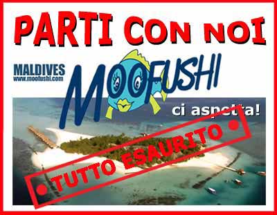 super offerta maldive luglio 2006 viaggio di gruppo a moofushi resort atollo di ari isole maldive un'esclusiva per gli amici di www.tuttomaldive.it in collaborazione con best tours e coral srl la super offerta comprender: 2 immersioni gratis e sconti per i sub, snorkelling guidato gratuito, acqua ai pasti e tanto altro