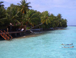 isole maldive fotografie photo informazioni consigli utili ranveli resort isola di viligilivaru atollo di ari sud nel dicembre 2006 by Sara, Alessia e Giovanni