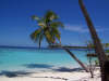 Le foto, il racconto e i consigli utili del viaggio al vilu reef resort isola di meedhufushi atollo di nilandhoo sud nel marzo 2005 by Starcruiser